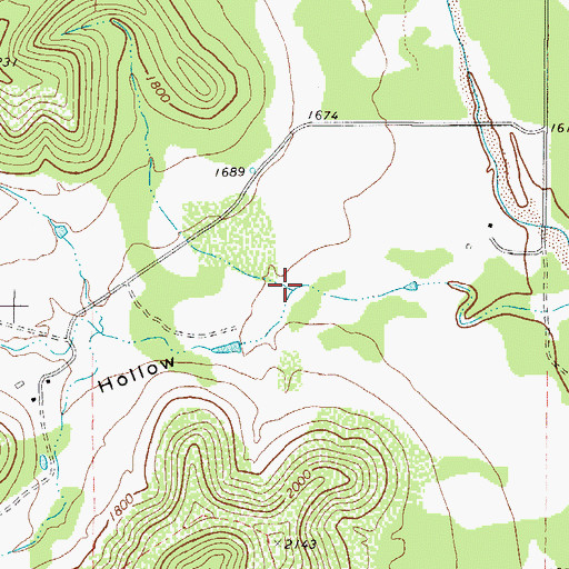 Topographic Map of Cattail Hollow, TX