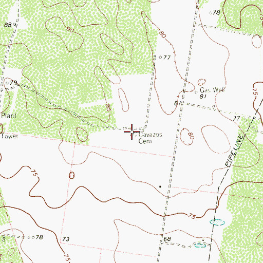 Topographic Map of Cavazos Cemetery, TX