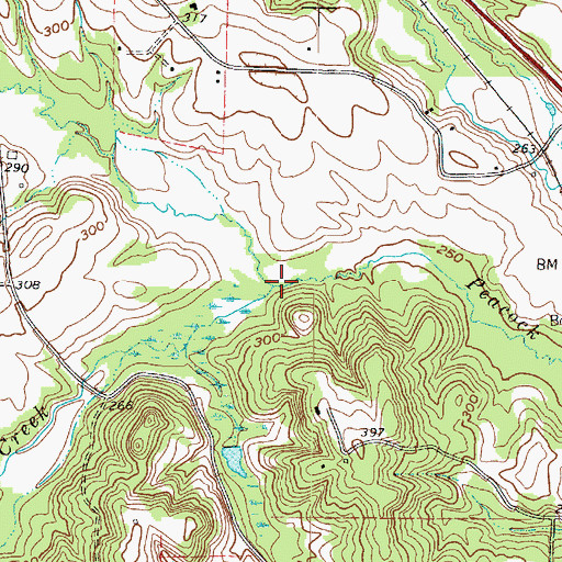 Topographic Map of Cawhorn Creek, TX