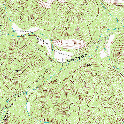 Topographic Map of Cedar Canyon, TX