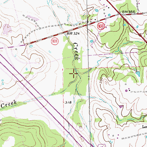 Topographic Map of Cedar Creek, TX