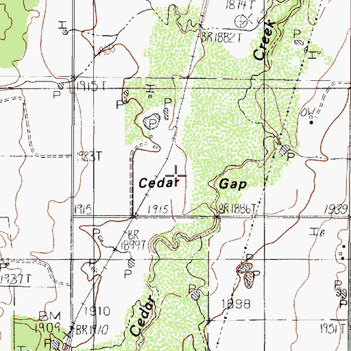 Topographic Map of Cedar Gap, TX