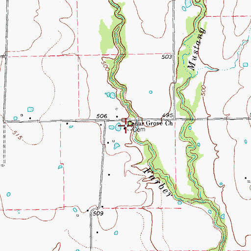 Topographic Map of Cedar Grove Church, TX