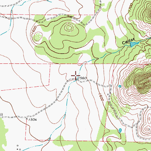 Topographic Map of Cedar Hollow, TX