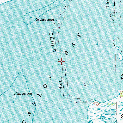 Topographic Map of Cedar Reef, TX