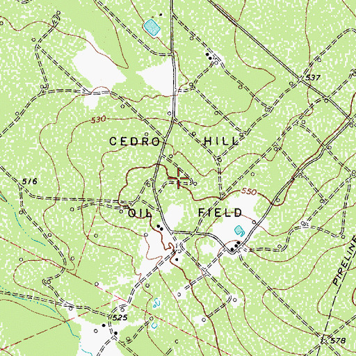 Topographic Map of Cedro Hill Oil Field, TX
