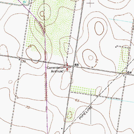 Topographic Map of Cementerio Anahuac, TX