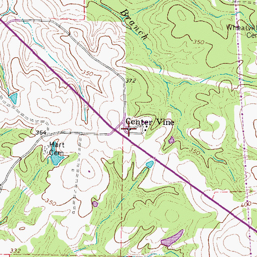 Topographic Map of Center Vine, TX
