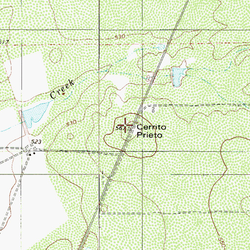 Topographic Map of Cerrito Prieto, TX