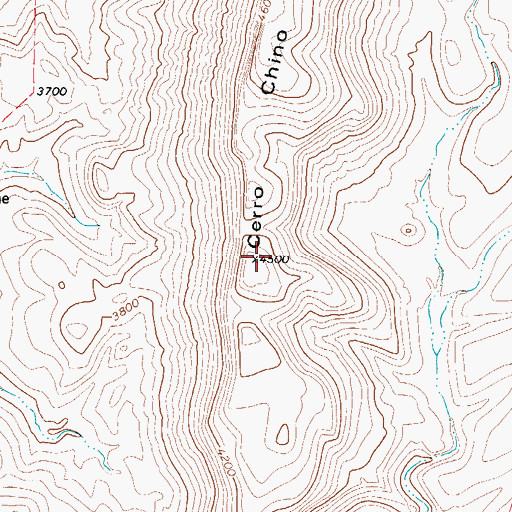 Topographic Map of Cerro Chino, TX