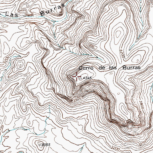 Topographic Map of Cerro de las Burras, TX
