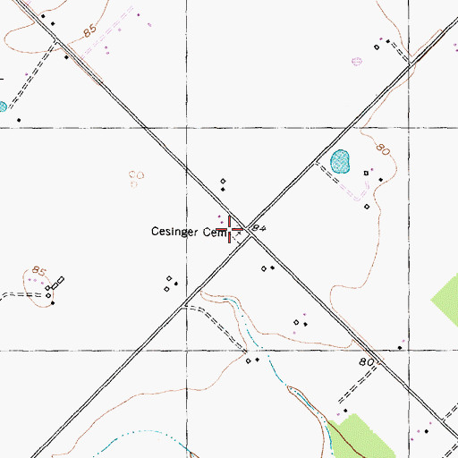 Topographic Map of Cesinger Cemetery, TX