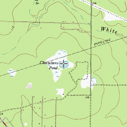 Topographic Map of Chambers Pond, TX