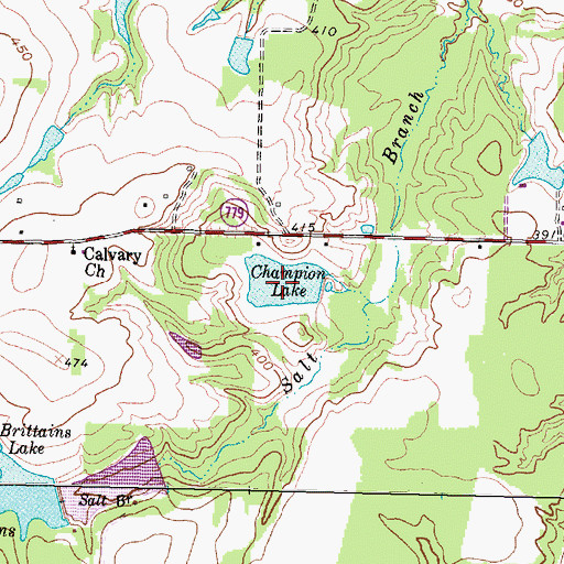 Topographic Map of Champion Lake, TX