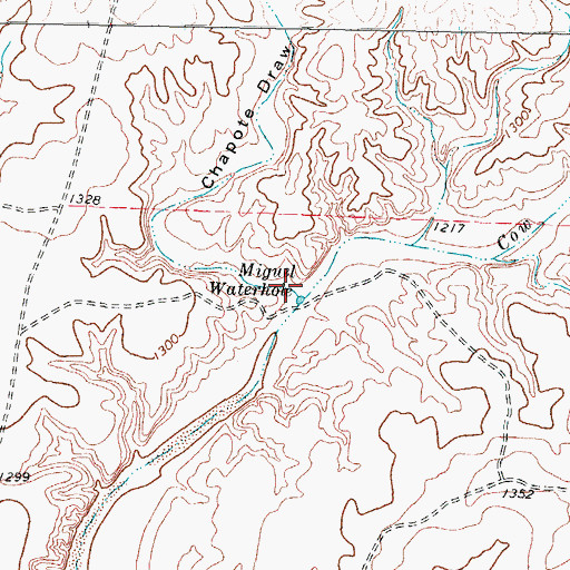 Topographic Map of Chapote Draw, TX
