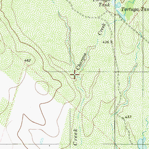 Topographic Map of Chargos Creek, TX