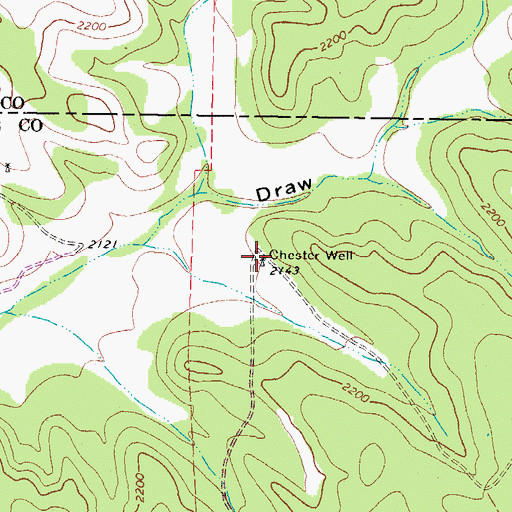 Topographic Map of Chester Well, TX