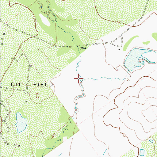 Topographic Map of Chico Creek, TX