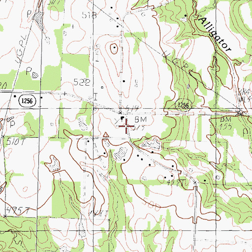 Topographic Map of China Grove School, TX