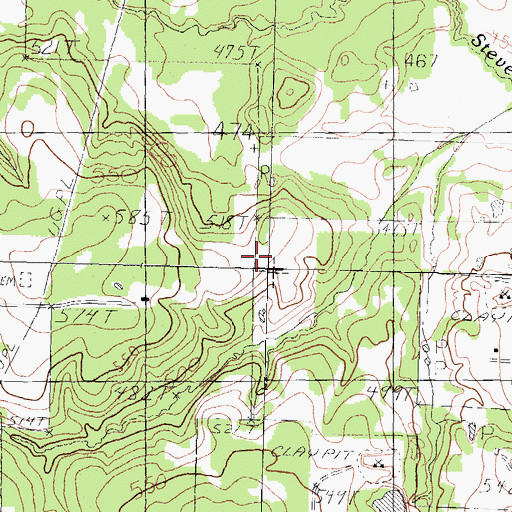 Topographic Map of Chinquapin Cemetery, TX