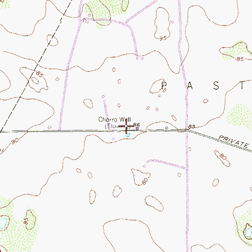 Topographic Map of Chorro Well, TX