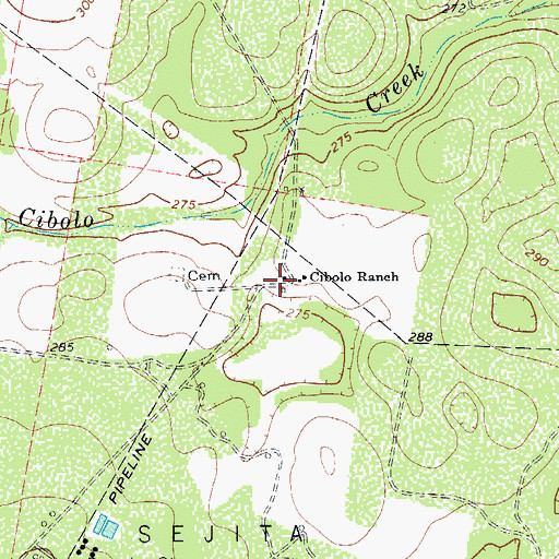 Topographic Map of Cibolo Ranch, TX