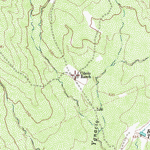 Topographic Map of Cibolo Ranch, TX