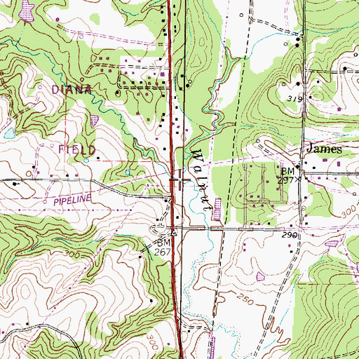 Topographic Map of Clark Branch, TX