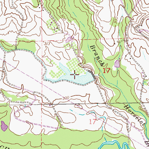Topographic Map of Parkmans Pond, AL