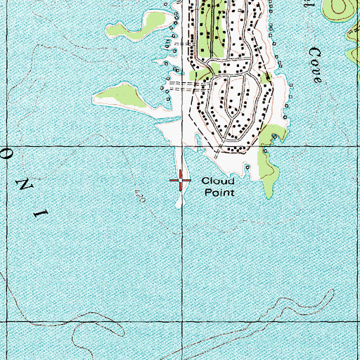 Topographic Map of Cloud Point, TX