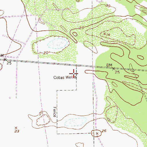 Topographic Map of Cobas Well, TX