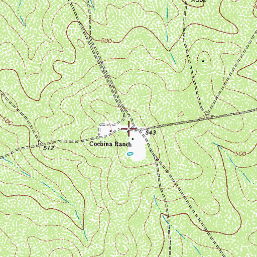 Topographic Map of Cochina Ranch, TX