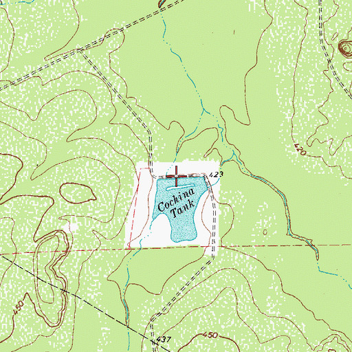 Topographic Map of Cochina Tank, TX