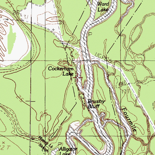 Topographic Map of Cockerham Lake, TX