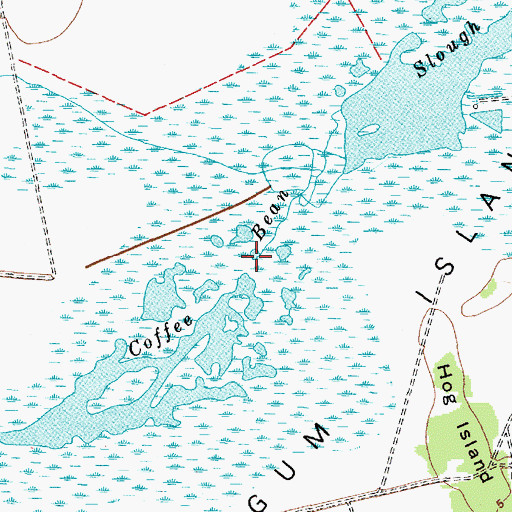 Topographic Map of Coffee Bean Slough, TX