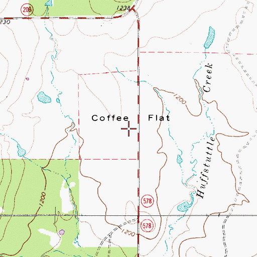 Topographic Map of Coffee Flat, TX
