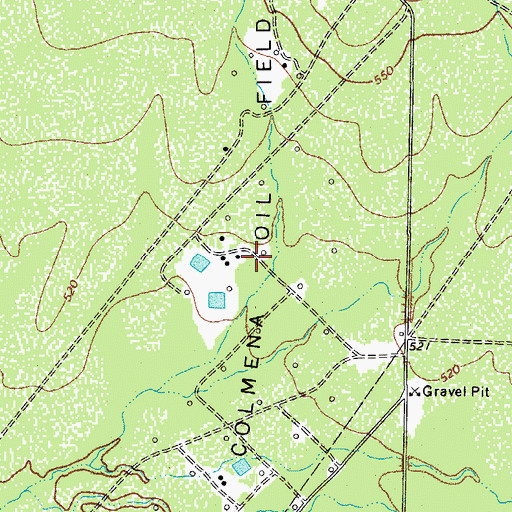 Topographic Map of Colmena Oil Field, TX