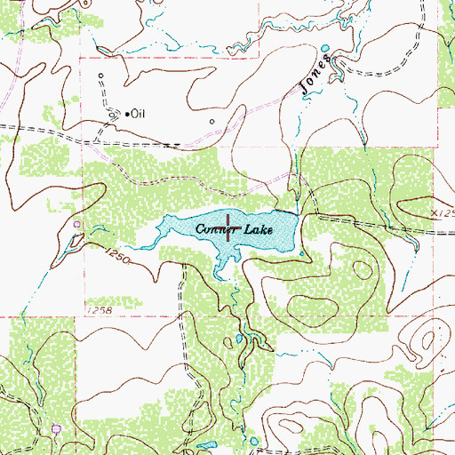 Topographic Map of Conner Lake, TX