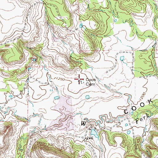 Topographic Map of Cook Cemetery, TX