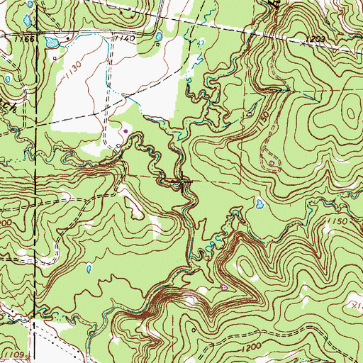 Topographic Map of Coon Branch, TX