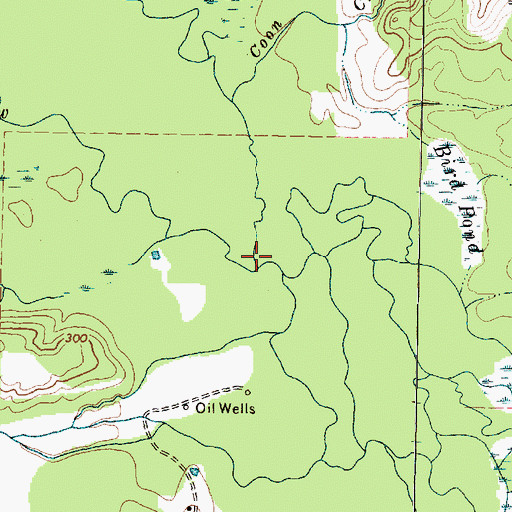 Topographic Map of Coon Creek, TX