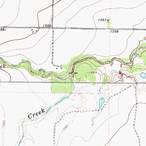 Topographic Map of Coon Creek, TX