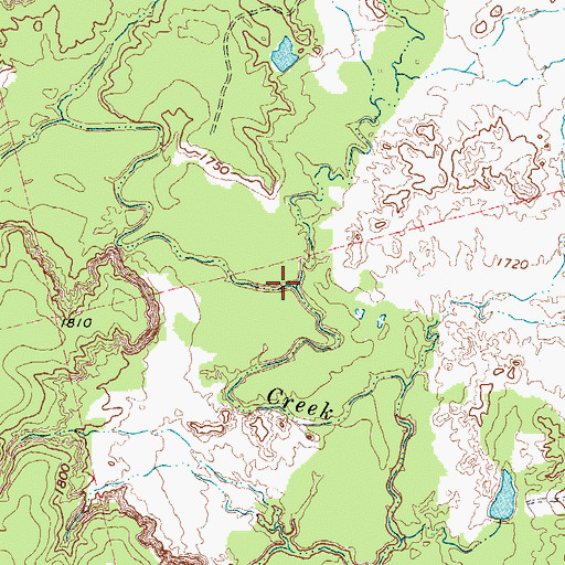 Topographic Map of Coon Hollow, TX