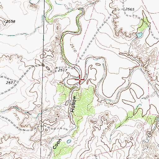Topographic Map of Coon Hollow, TX