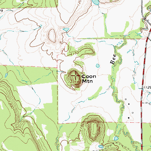 Topographic Map of Coon Mountain, TX
