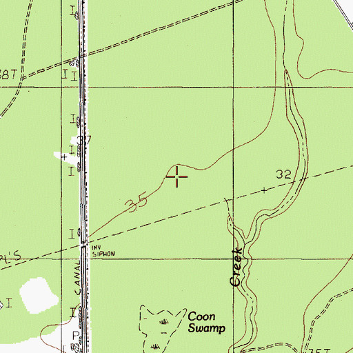 Topographic Map of Coon Swamp, TX