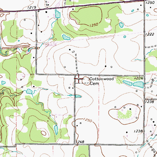 Topographic Map of Cottonwood Cemetery, TX