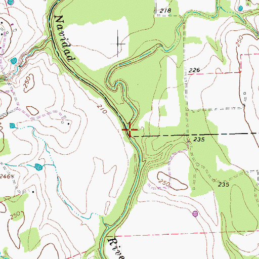 Topographic Map of Cottonwood Creek, TX