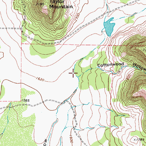 Topographic Map of Cottonwood Hollow, TX