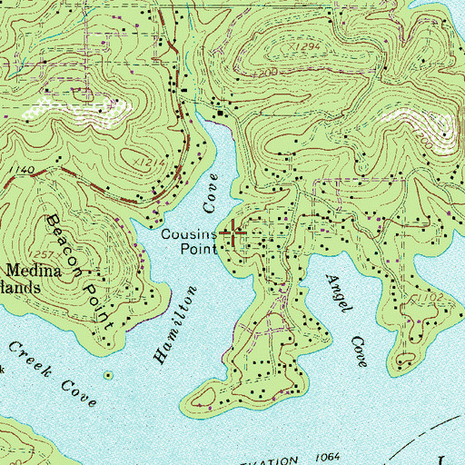 Topographic Map of Cousins Point, TX